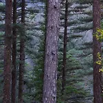 Casa Natura Geres 度假居