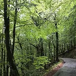 度假居 Casa Natura Geres *