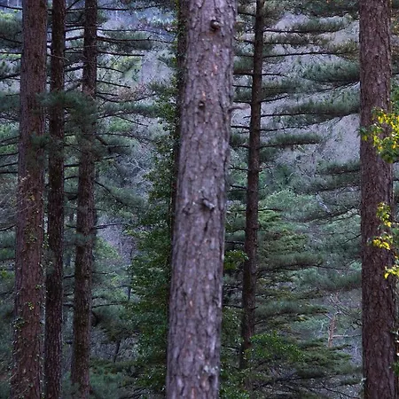 Casa Natura Geres Dom wakacyjny