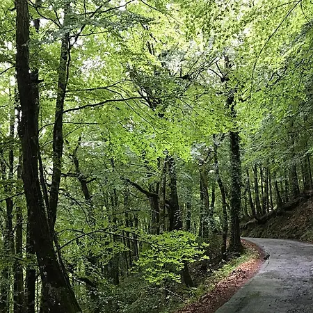 Tatil Evi Casa Natura Geres *