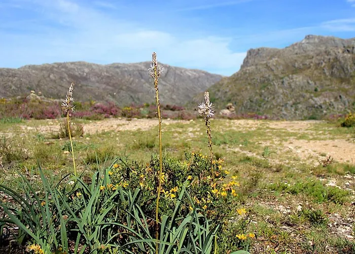 Casa Natura Geres Кампу-ду-Жереш