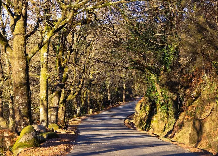 Casa Natura Geres * Campo do Geres