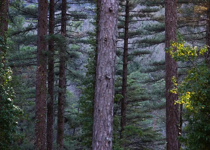 Casa Natura Geres Дом отдыха