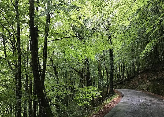 Дом отдыха Casa Natura Geres *